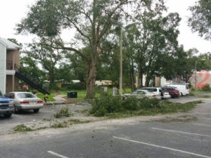 Aftermath of Hurricane Irma