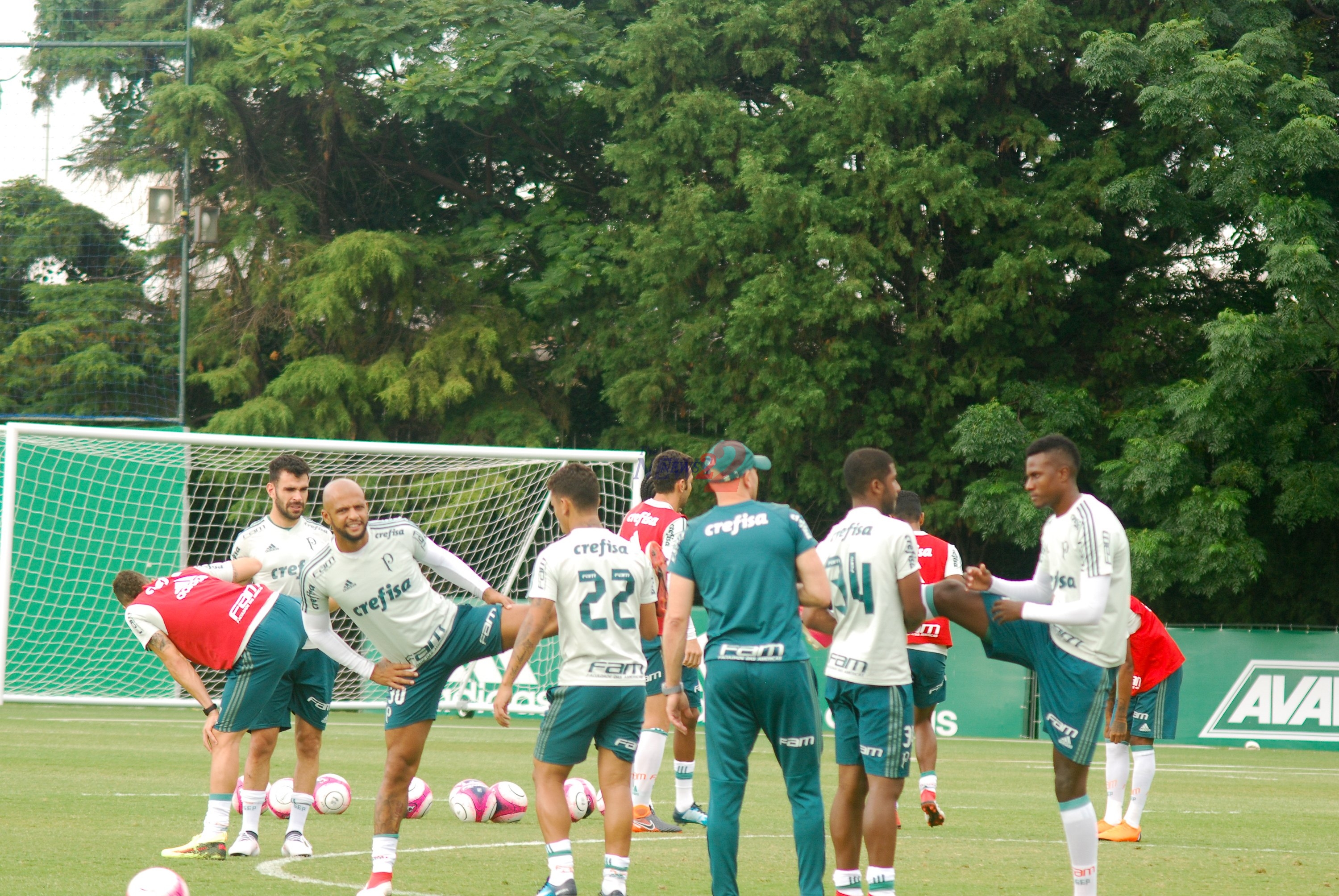 Training of Palmeiras Soccer Team-Sao Paulo