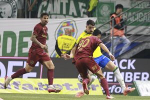 palmeiras-fluminense-01