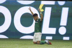 Partida entre Palmeiras e Santos pelo Brasileirão