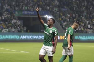 Partida entre Palmeiras e Botafogo pelo Campeonato Brasileiro