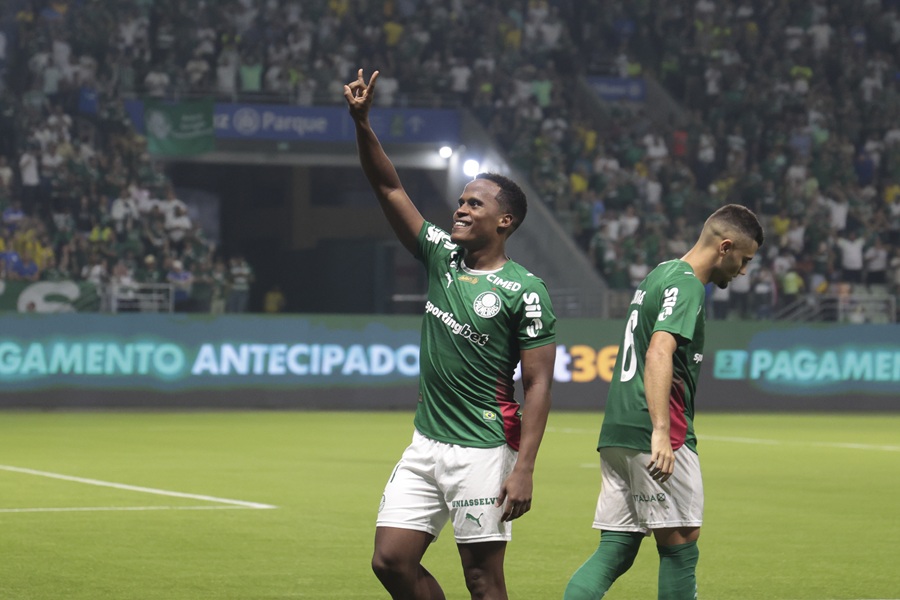 Partida entre Palmeiras e Botafogo pelo Campeonato Brasileiro