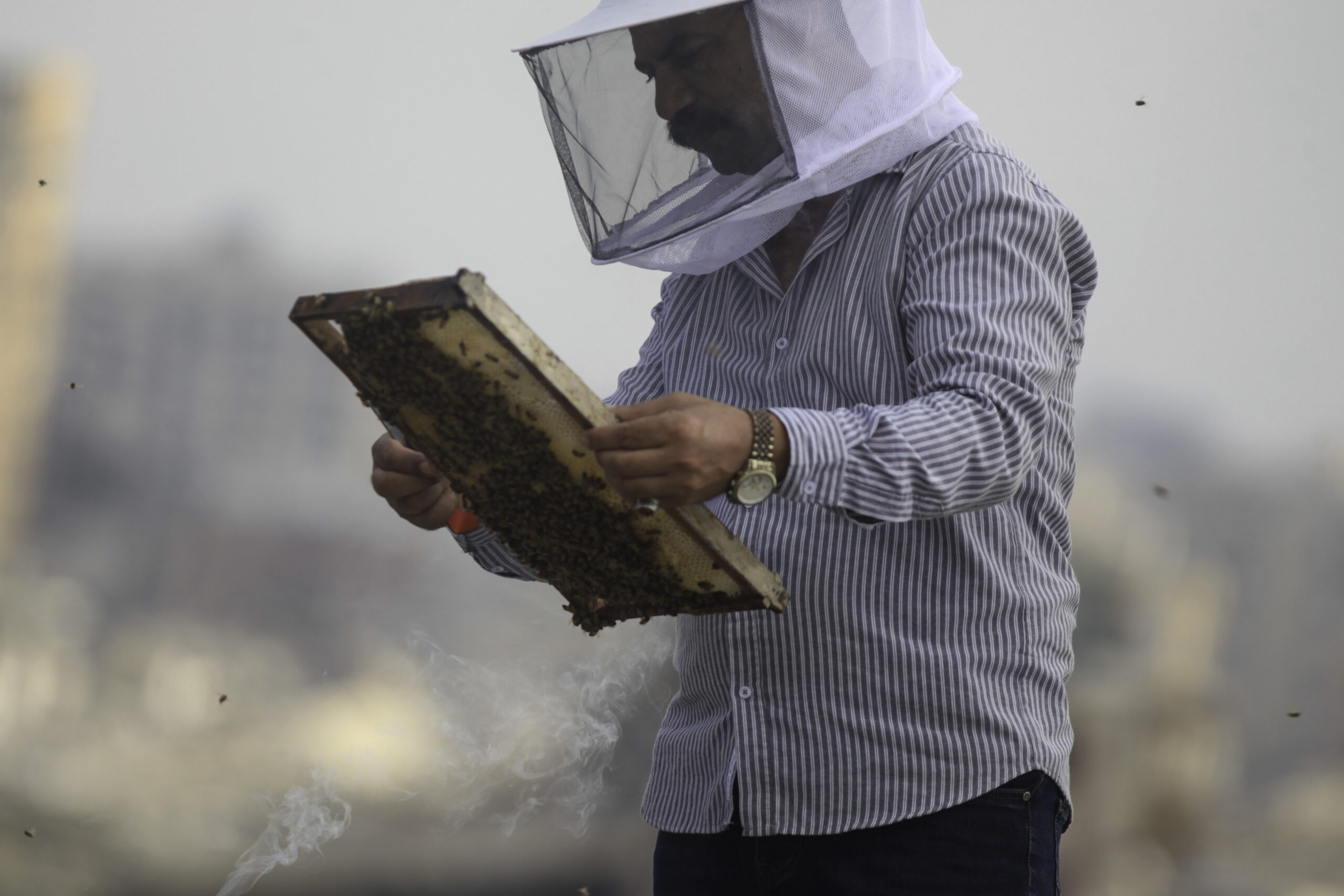 (INT) Gaza Beekeeper Revives Hives Amid War Damage
AUGUST 8, 2026, Gaza, Palestine: Ibrahim al-Dabba, head of the Beekeepers Cooperative in the Gaza Strip, tends to beehives with his sons on the rooftop of a war-damaged building in Gaza City's Tel al-Hawa neighborhood, where the displaced family ... | Photo: Hashem Zimmo / TheNews2