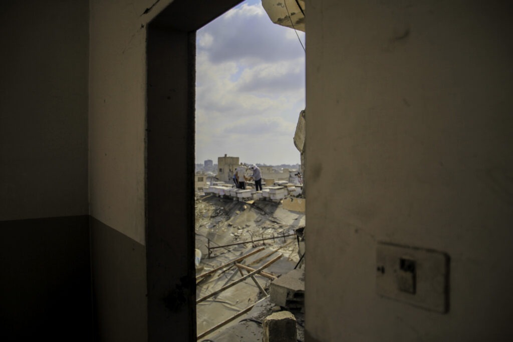 (INT) Gaza Beekeeper Revives Hives Amid War Damage AUGUST 8, 2026, Gaza, Palestine: Ibrahim al-Dabba, head of the Beekeepers Cooperative in the Gaza Strip, tends to beehives with his sons on the rooftop of a war-damaged building in Gaza City's Tel al-Hawa neighborhood, where the displaced family has taken shelter. Despite widespread destruction and the challenges posed by the ongoing conflict, al-Dabba continues beekeeping in an effort to preserve his livelihood and maintain honey production. Credit: Hashem Zimmo / TheNews2