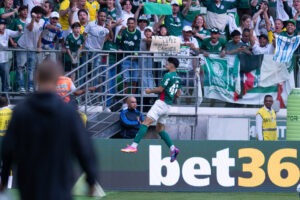 Palmeiras e Vasco da Gama medem forças em São Paulo em confronto decisivo pelo Campeonato Brasileiro